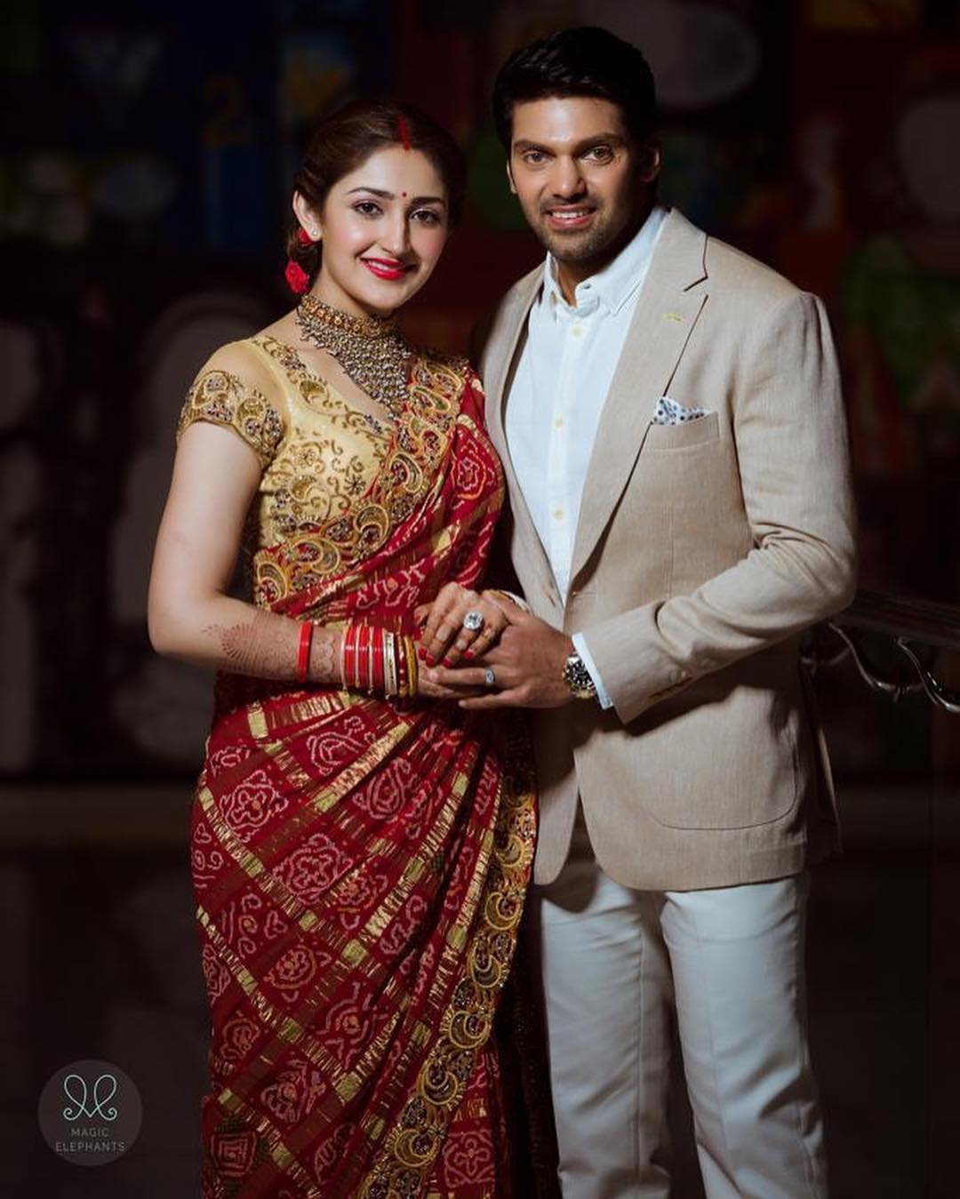 Sayesha Saigal Wiki Age Husband Family Biography Net Worth