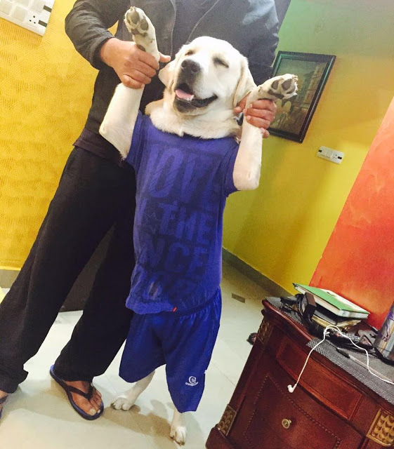 Deepak with Denzo dog