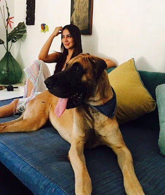 Kim Sharma love dogs